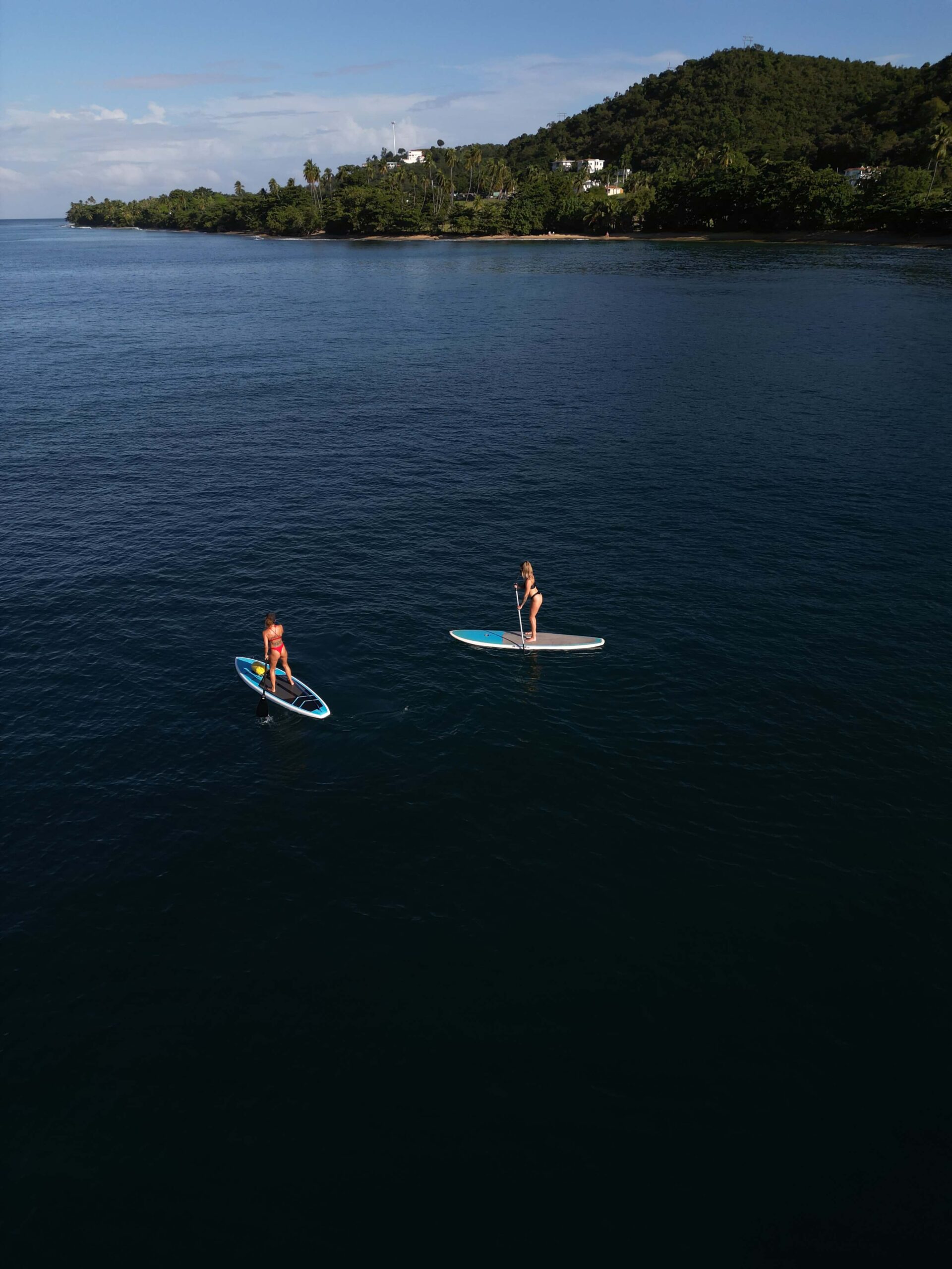 Paddleboard1